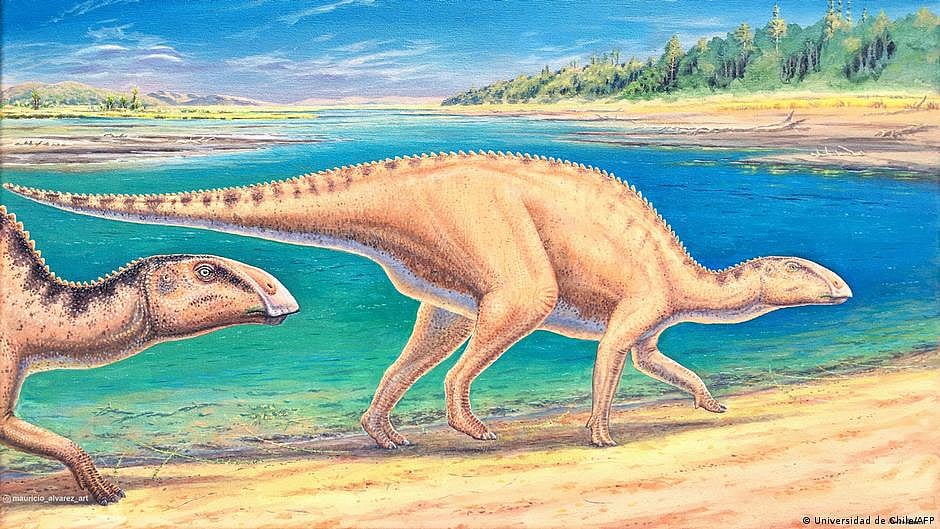 Chile: Remains of new species of duck-billed dinosaur found