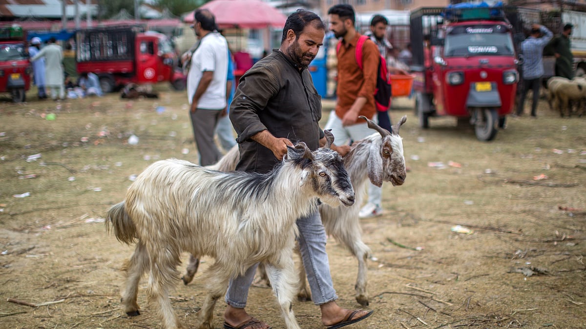 Maharashtra: The Muslims who will not offer ‘qurbani’ on Eid al-Adha this year
