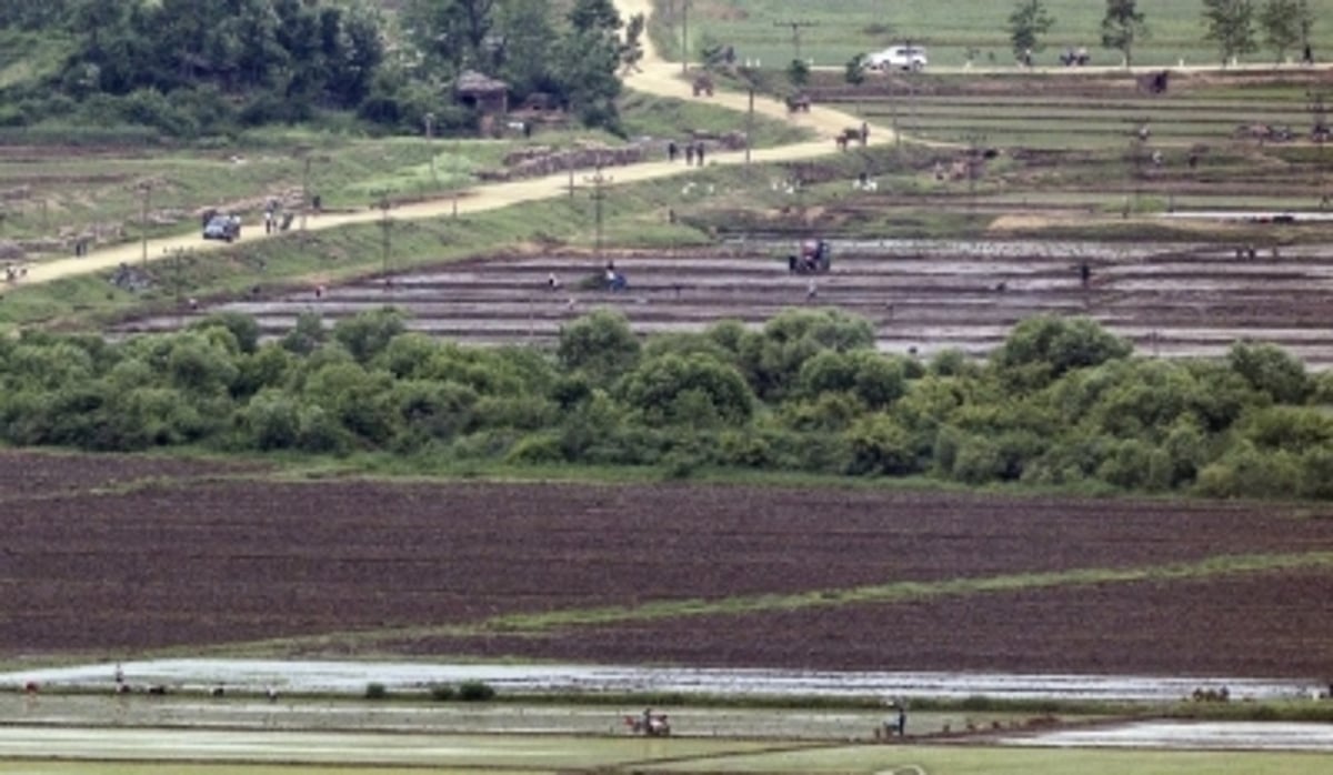 N.Korea's food prices rise, suggesting supply shortages