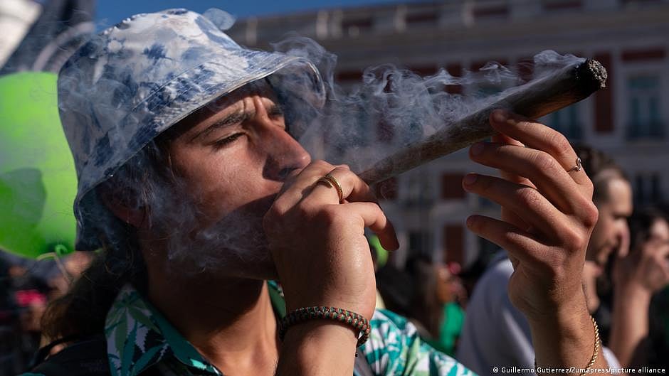 Fact check: How dangerous is cannabis, really?