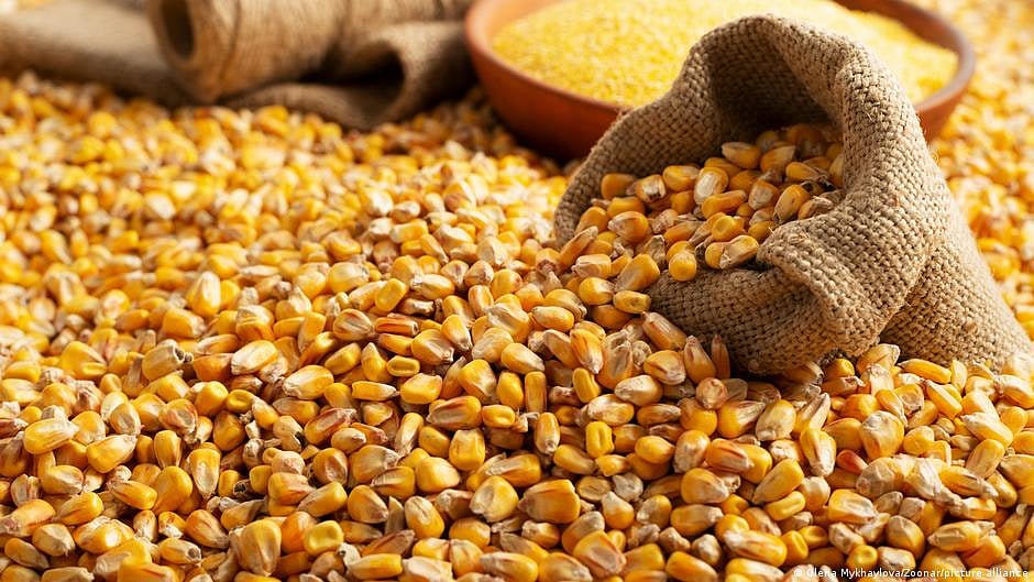 Falling commodity prices stoke fear of global recession