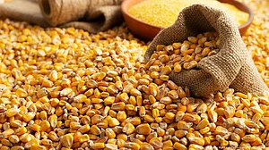 Falling commodity prices stoke fear of global recession