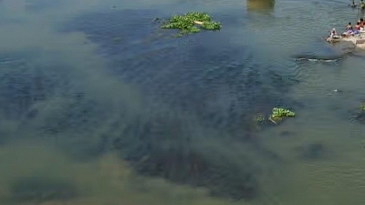 Oxygen level in Coimbatore water bodies rise after sewage treatment, more plants in offing