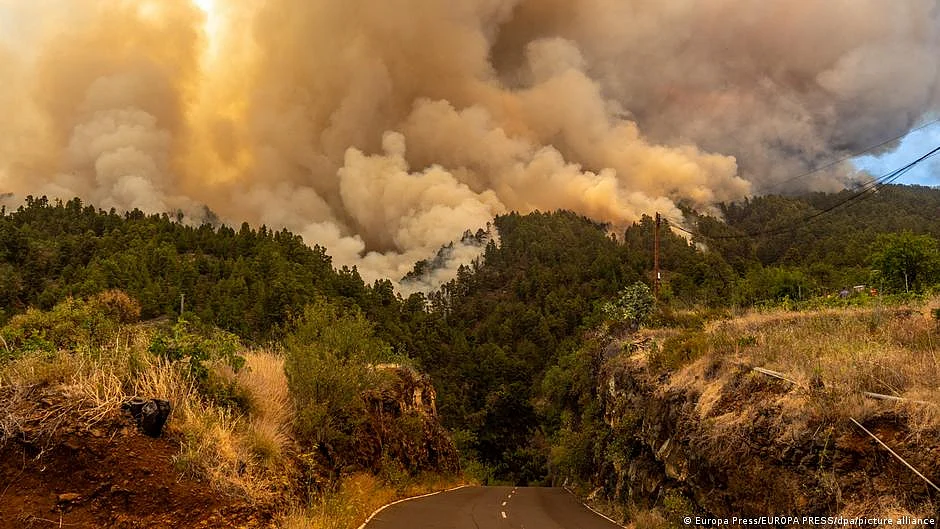 About 4,500 hectares or 11,120 acres of land has been destroyed by the fire, authorities said (Photo: DW)