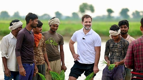 Rahul Gandhi with farmers (Photo: IANS)