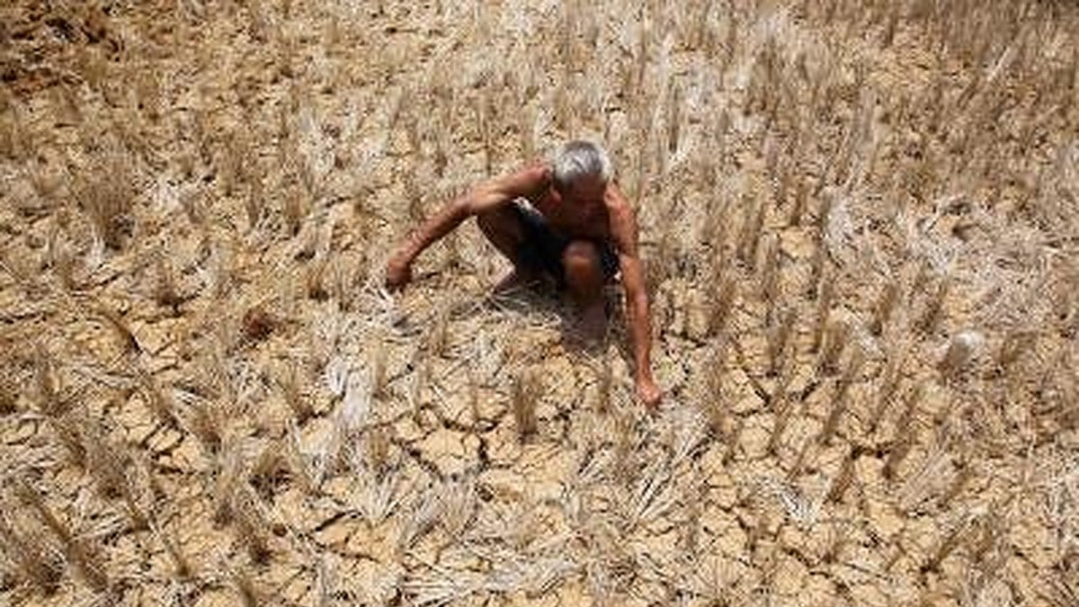 WMO declares onset of El Nino, warns surge in global temperatures