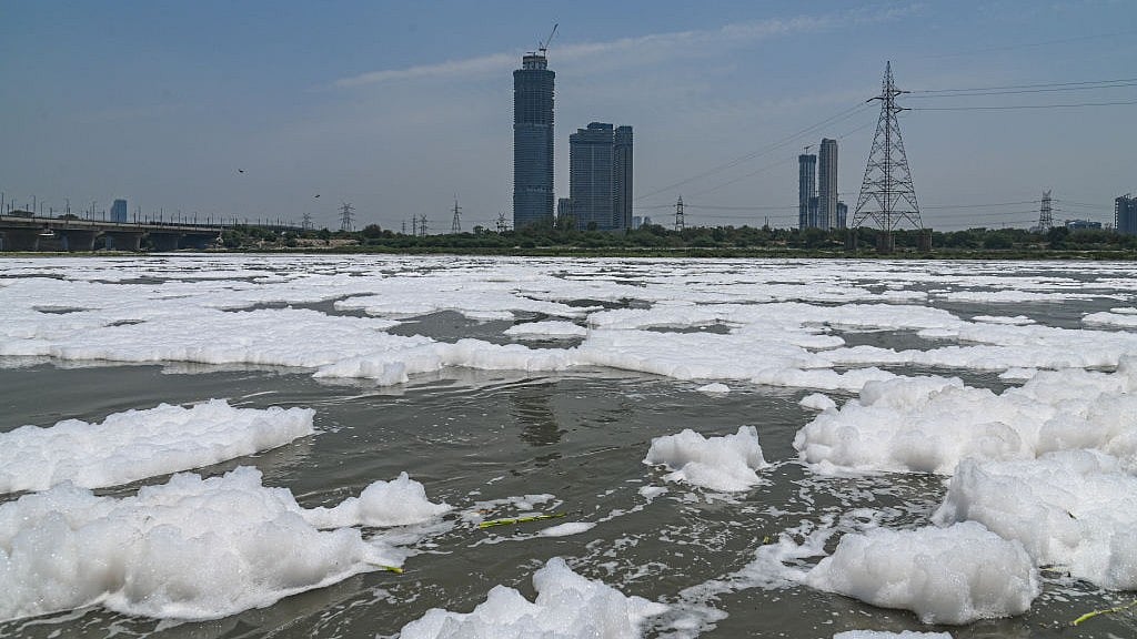 Yamuna pollution: Overall situation disappointing, says NGT