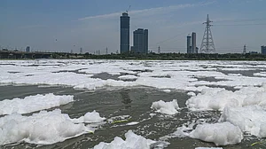 Yamuna pollution: Overall situation disappointing, says NGT