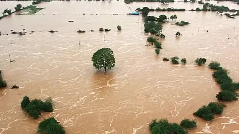 The devastating tsunami of 2004 (representative image of flooding submerging vegetation and houses) 