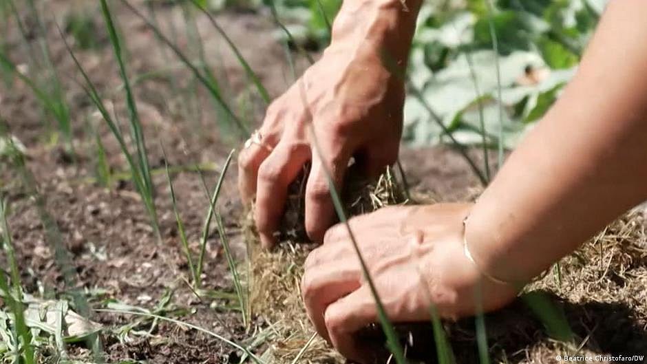 EU lawmakers pass contentious nature restoration bill in a razor-thin vote amid farmer backlash