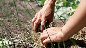 EU lawmakers pass contentious nature restoration bill in a razor-thin vote amid farmer backlash
