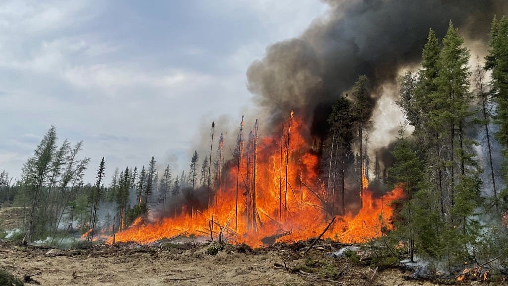 Representative image of a wildfire (photo: Getty Images)