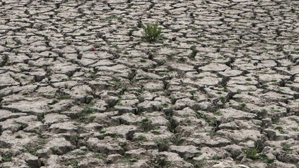 Representative image of drought (photo: IANS)