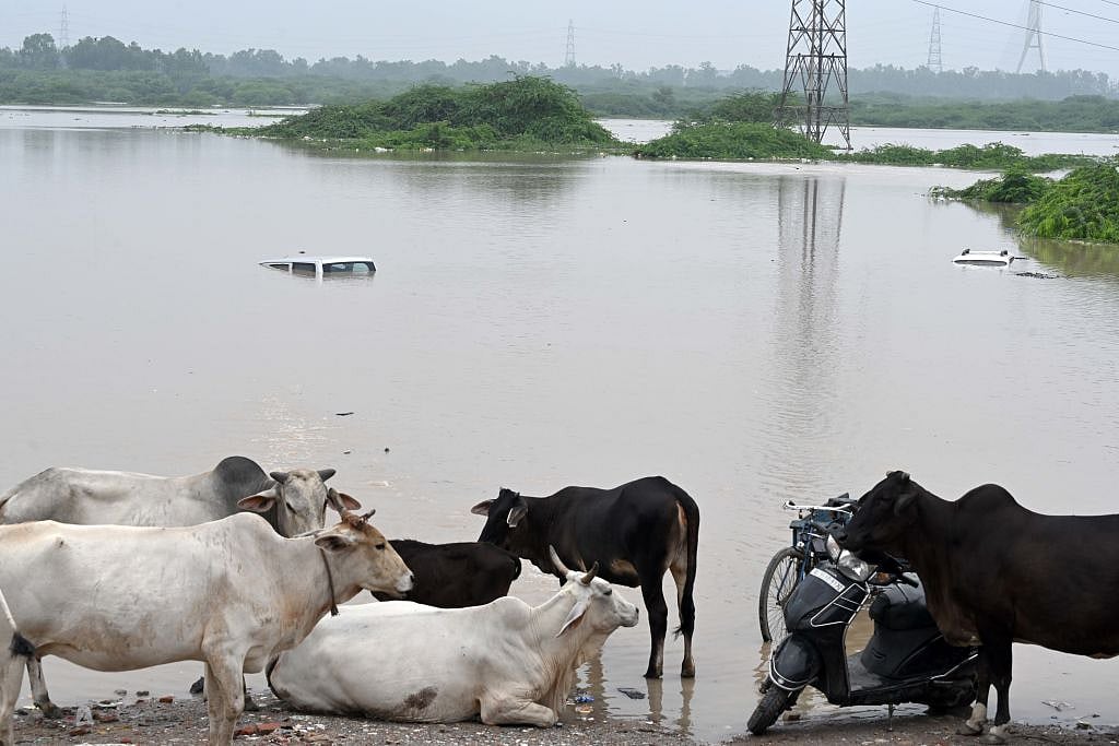 Vehicles have submerged because of the floods in New Delhi (Photo: Getty Images)