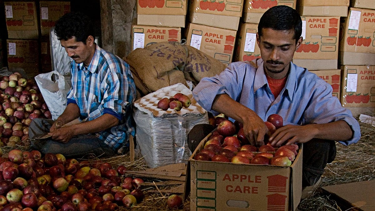 Himachal minister orders probe after video of growers dumping apples goes viral