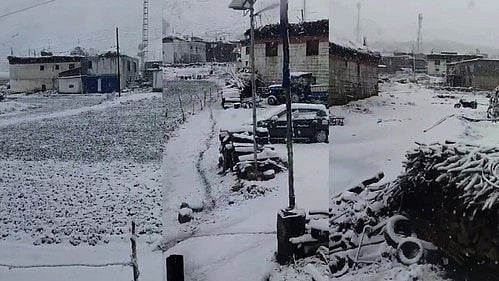 Snowfall hampers rescue operation, 250 stranded in Himachal high slopes