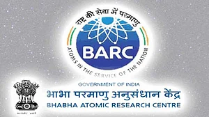 Govt procures 3 lakh tonnes of onion for buffer stock; piloting irradiation of onion with BARC