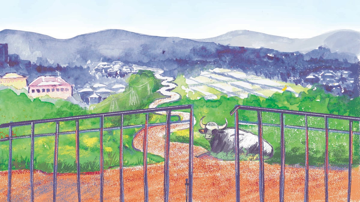 Easy does it: Rediscovering the perks of life in the slow lane