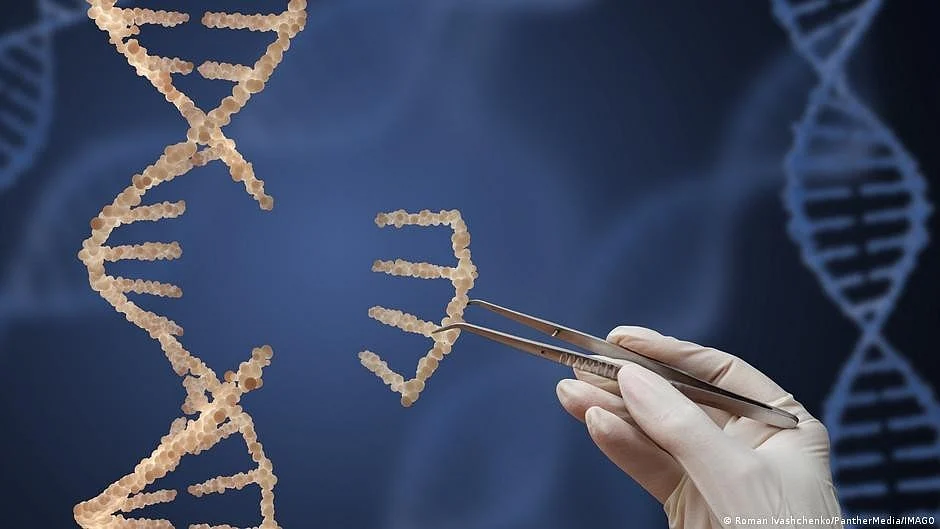 EU rethinks regulations on genetically modified plants