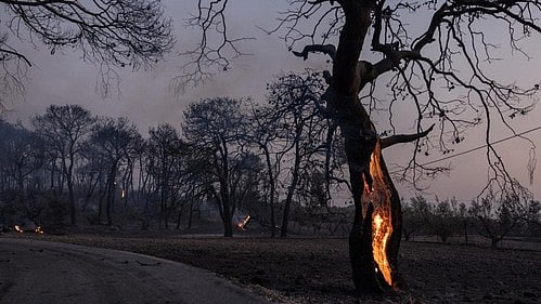3 dead as wildfires rage across Greece