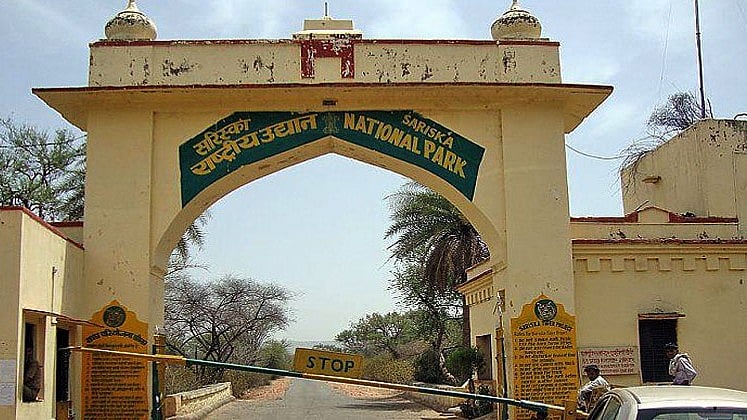 Sariska Tiger Reserve in Alwar, Rajasthan. (photo: Wikimedia Commons)
