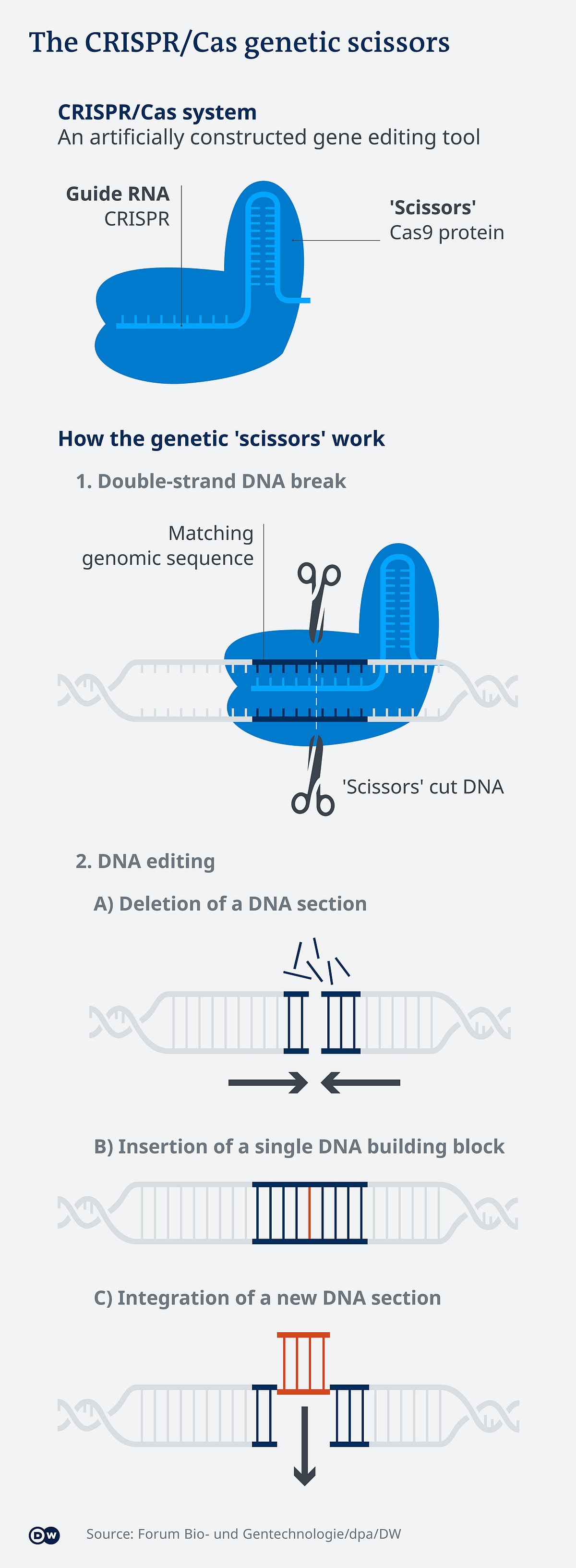 CRISPR genetic scissors (Photo: DW)