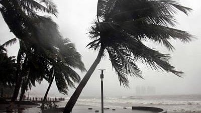 South China on guard as Typhoon Talim nears (photo: IANS)