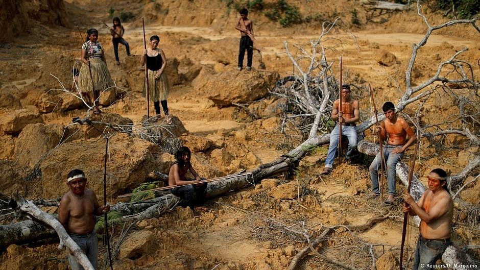 Amazon deforestation is down by a third, Brazilian govt