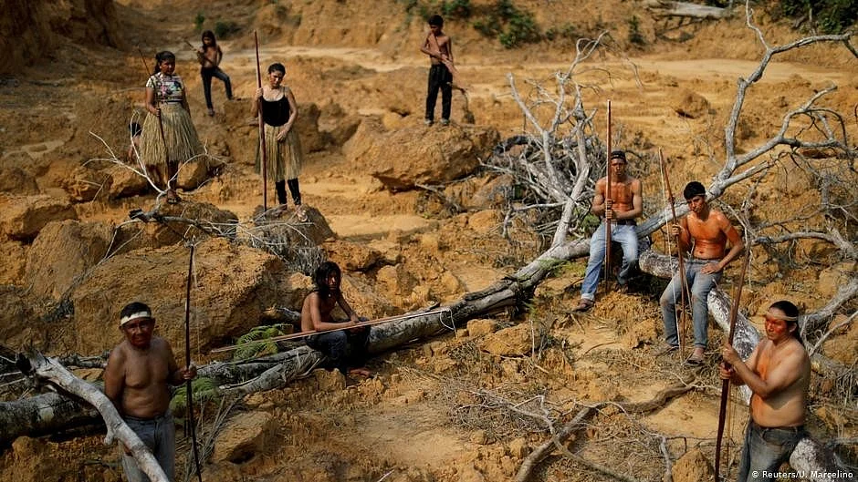 Amazon deforestation: Brazilian NGOs take Bolsonaro to court