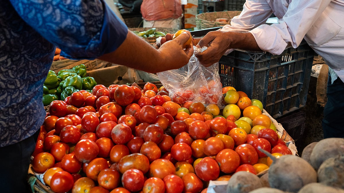 Representative image of a vendor selling tomatoes in his vegetable stall (photo: Getty Images)