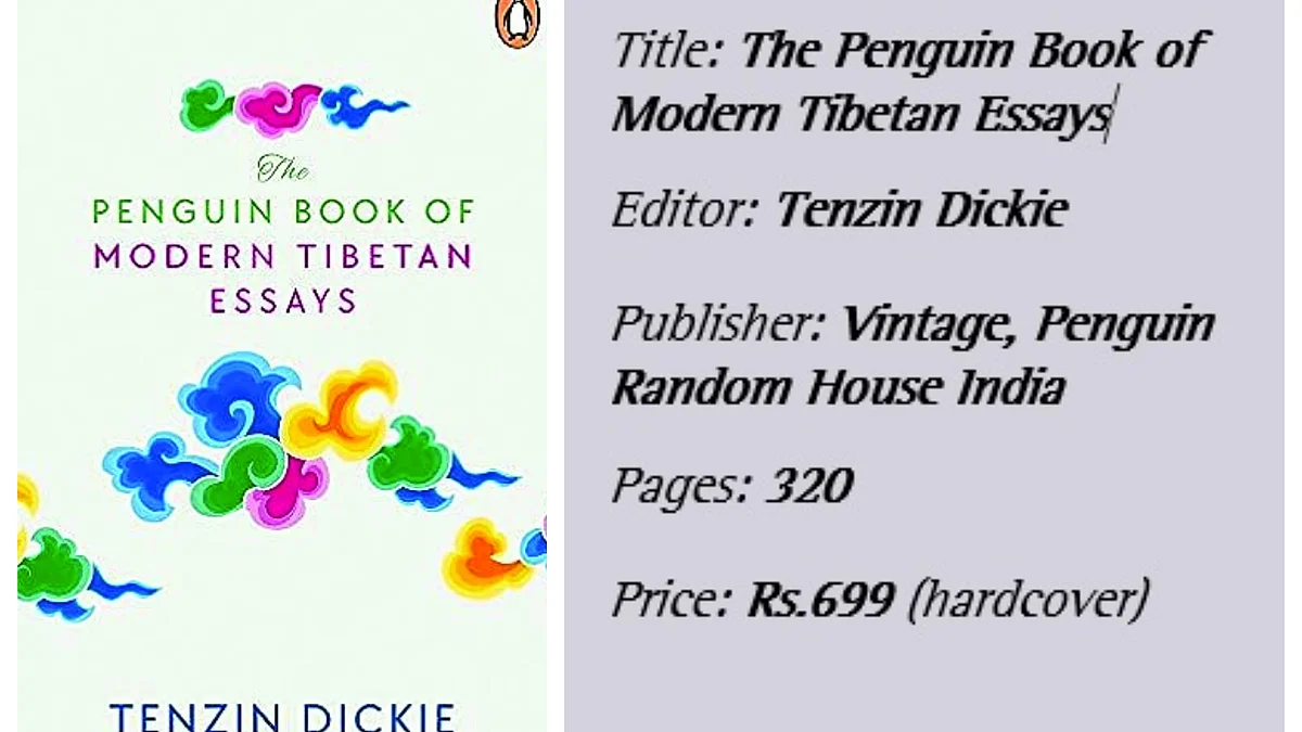 The book cover
