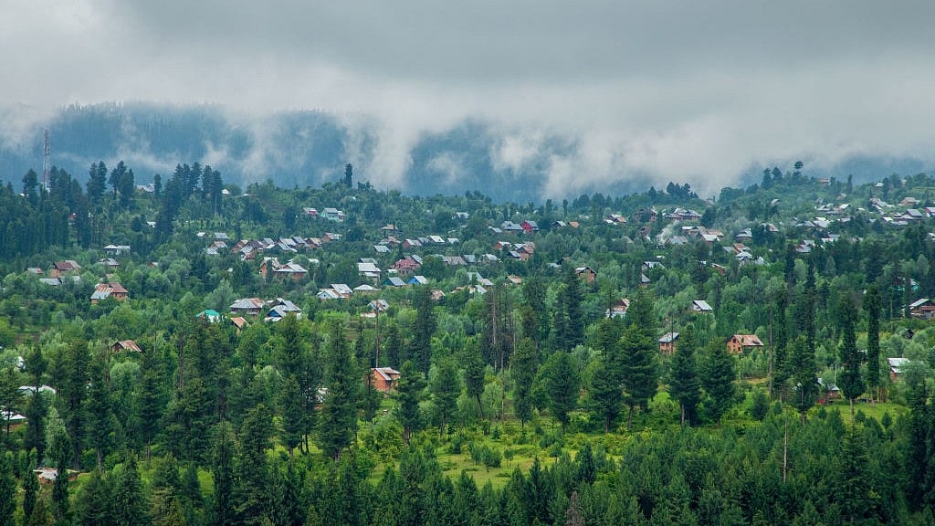 Large acre of forest area (photo: Getty Images)
