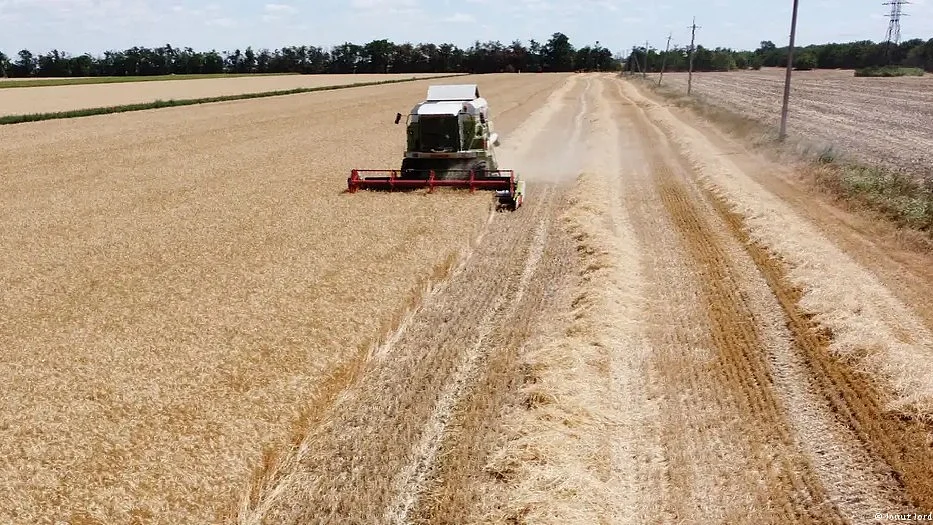 Ukraine is one of the largest grain exporters in the world; its grain feeds approximately 400 million people worldwide (photo: Ionut Iordachescu/AFP/Getty Images)
