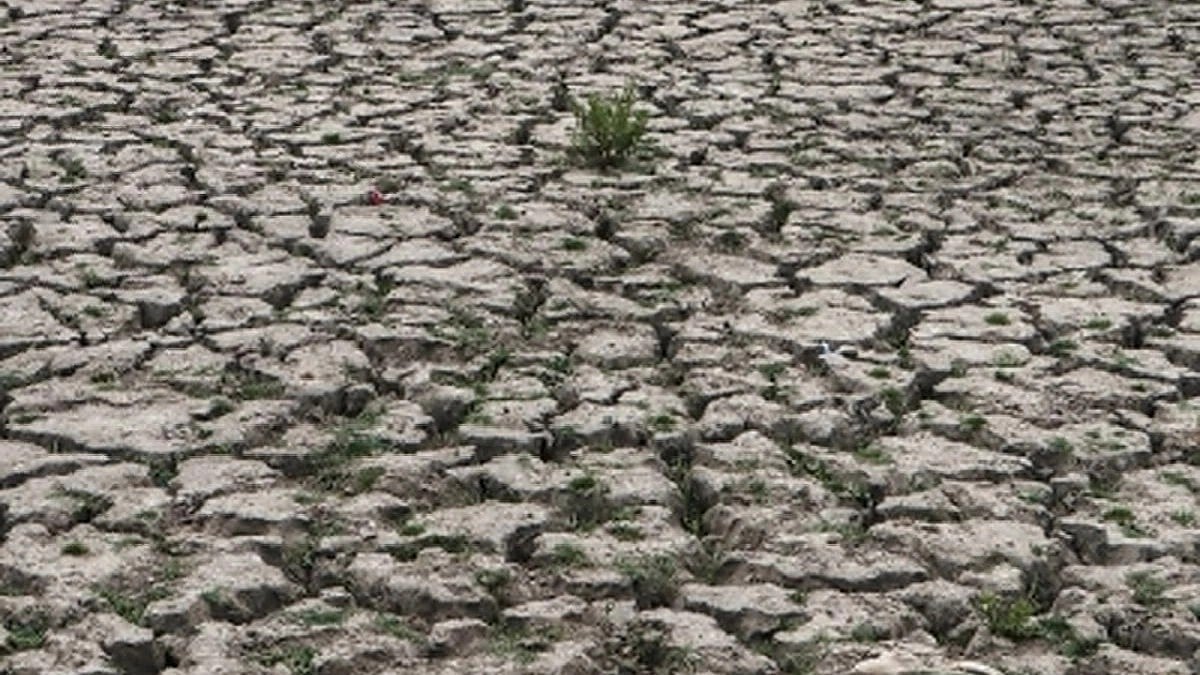Farmers in Karnataka have incurred loss of Rs 30,000 cr due to drought: Siddaramaiah