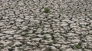 Farmers in Karnataka have incurred loss of Rs 30,000 cr due to drought: Siddaramaiah