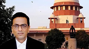 By enacting Article 35(A), you virtually took away fundamental rights: CJI