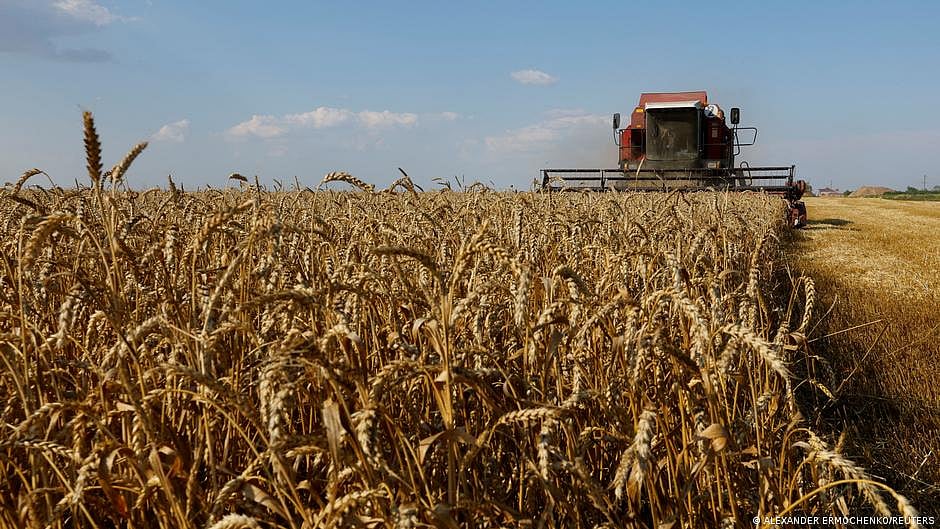 Global rice crisis reminiscent of 2008 Asian food price scare