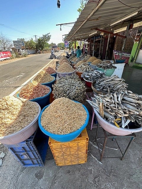 entire markets are dedicated to salted,
sun-dried fish in Raigad, Maharashtra