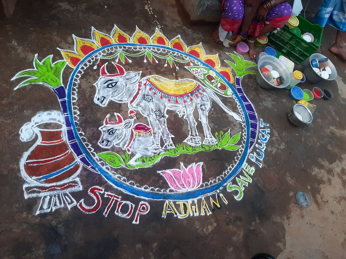 Chennai residents and netizens are protesting against Adani's Kattupalli port expansion. Pulicat is among the most significant stop-over locations on the Central Asian flyway. It hosts over 200 species of birds and 15,000 flamingos. People have created rangolis to show their resistance against corporate infringement (photo courtesy: Twitter/@vigraju)