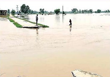 Floodwater submerges several BSF posts along Indo-Pak border in Punjab's Ferozepur