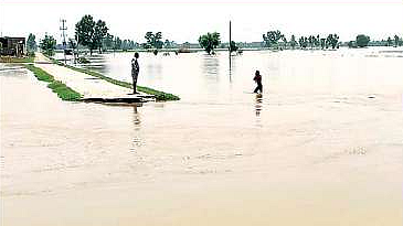 Floods in Punjab (Photo courtesy: @psgazi/ X)