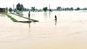 Floods in Punjab (Photo courtesy: @psgazi/ X)