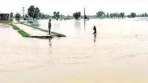Floodwater submerges several BSF posts along Indo-Pak border in Punjab's Ferozepur