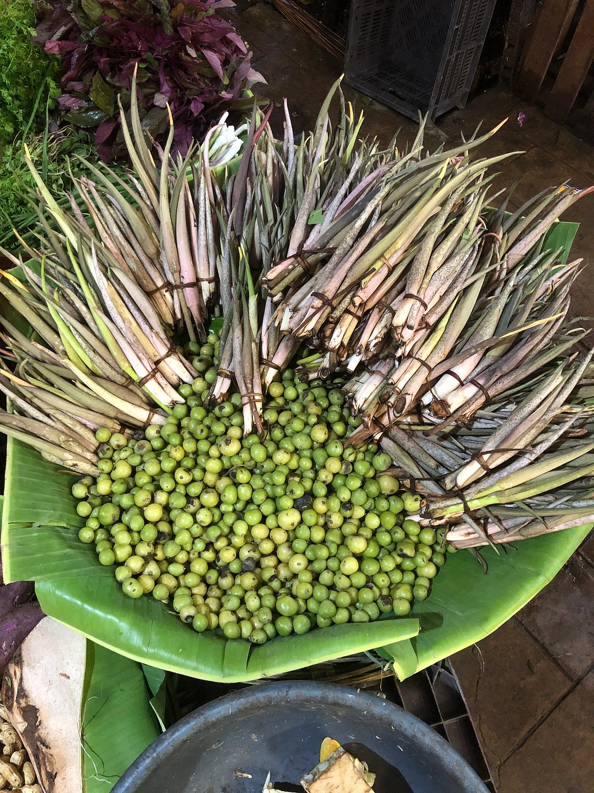 Dragon stalk yam
