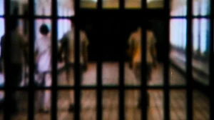 Elgar case: Vernon Gonsalves, Arun Ferreira to walk out of jail as court orders release