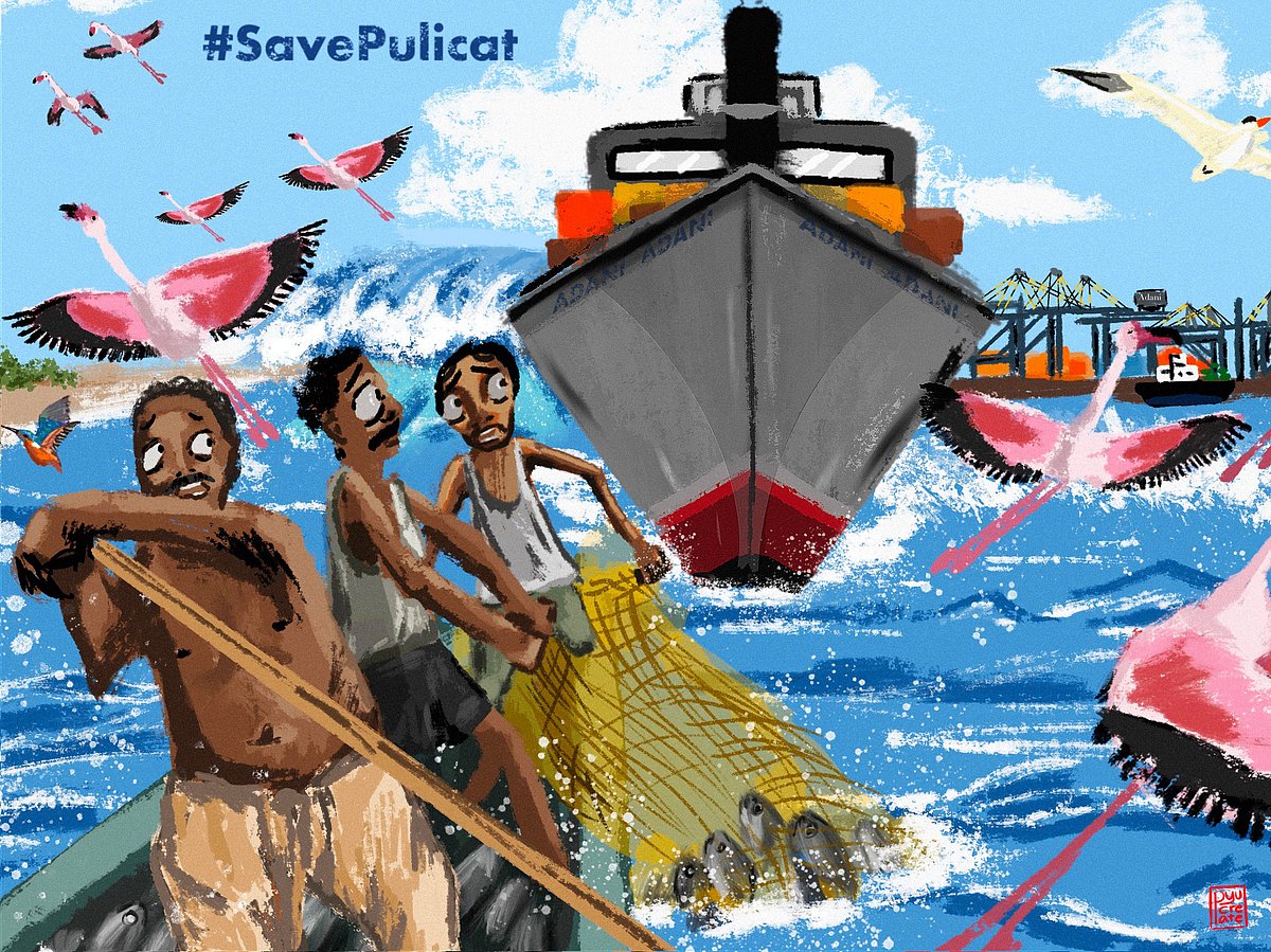 Art paintings depicting how the Adani port expansion project will affect the livelihood of the people of Pulicat and Kosasthalaiyar rivers, which are Chennai's main rivers (Photo courtesy: Twitter/@Yuvan_aves)