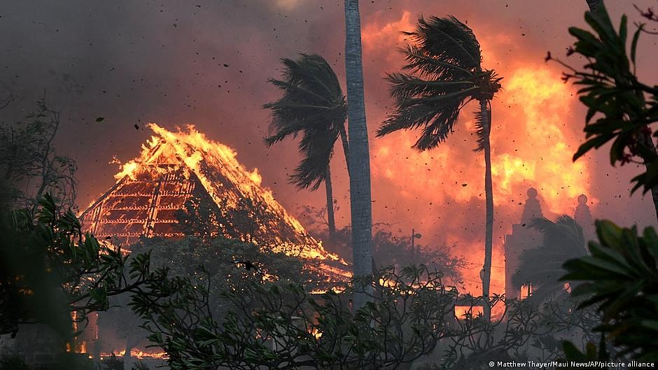 Maui wildfires: 36 dead as Biden declares 'major disaster'