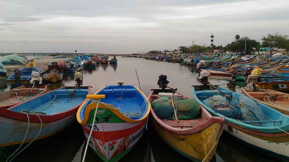 Pulicat is the second-largest lagoon in India. It's ecosystem helps fish thrive in both the wetland and the rivers. The river is the livelihood of the fisherfolks in the Puttapalli area (photo courtesy: Twitter/@vaishnaviisure)