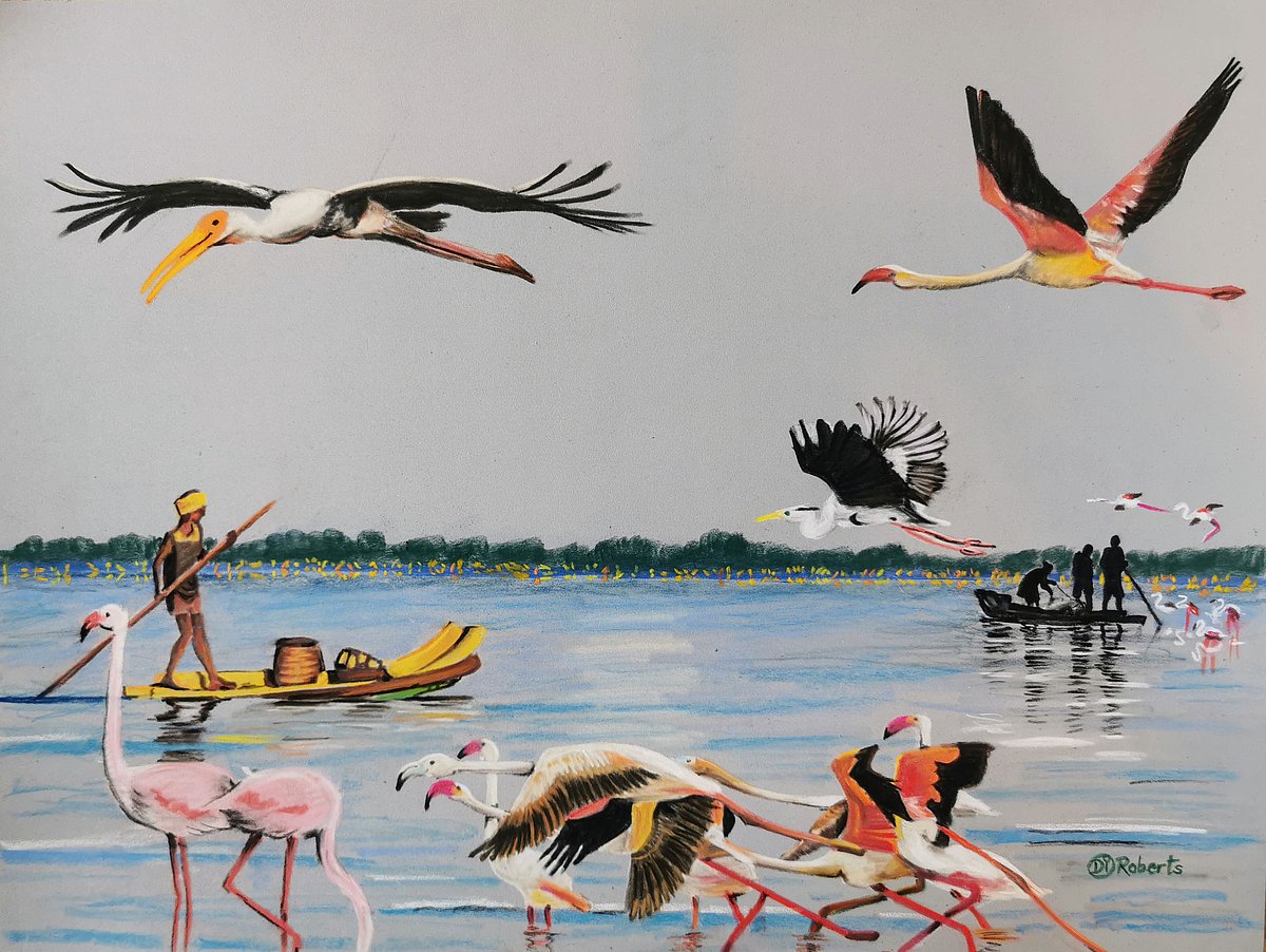 Representation of humans and birds in the coastal area. This artwork by artist Di Roberts has widely been shared on Twitter to show solidarity with the residents of Pulicat (photo courtesy: Twitter/@vishhin)