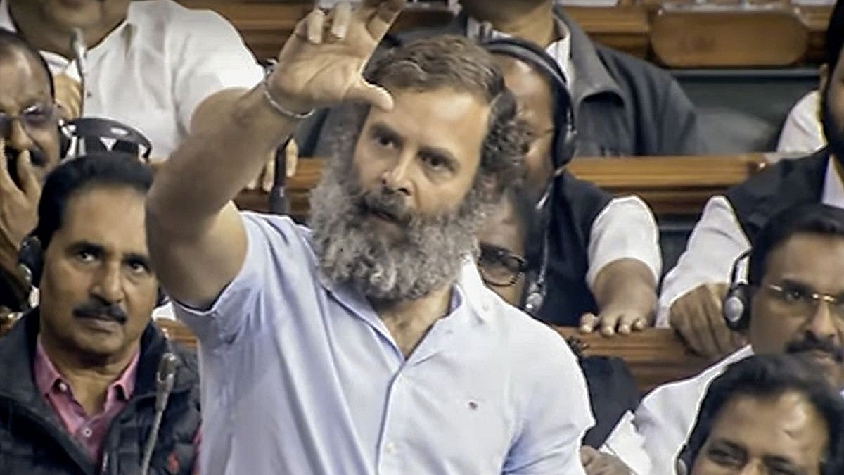 Rahul Gandhi in Lok Sabha (Photo: NH Library)